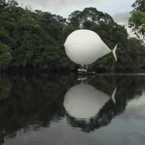 Photo du film : The White Diamond