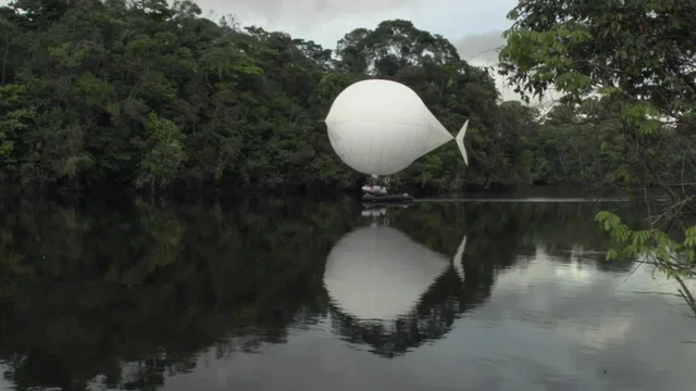 Photo 2 du film : The White Diamond