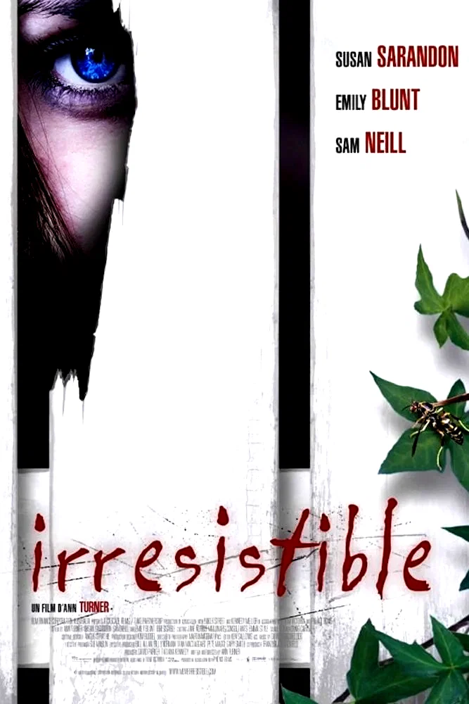 Affiche du film : Irrésistible