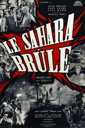 Affiche du film : Le sahara brule