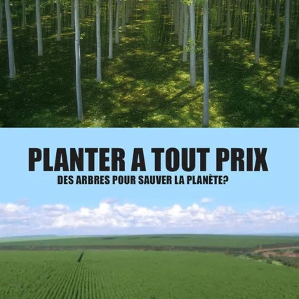 Miniature photo du film : Planter à tout prix - Des arbres pour sauver la planète ?