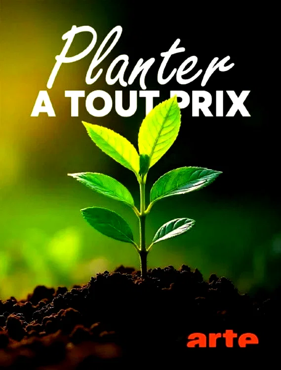 Photo du film : Planter à tout prix - Des arbres pour sauver la planète ?