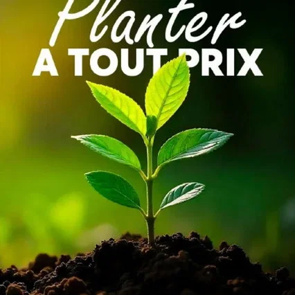 Miniature photo du film : Planter à tout prix - Des arbres pour sauver la planète ?