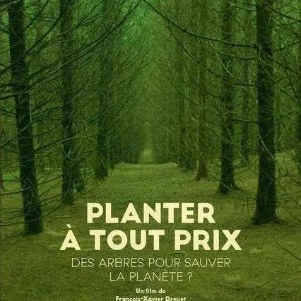 Miniature photo du film : Planter à tout prix - Des arbres pour sauver la planète ?