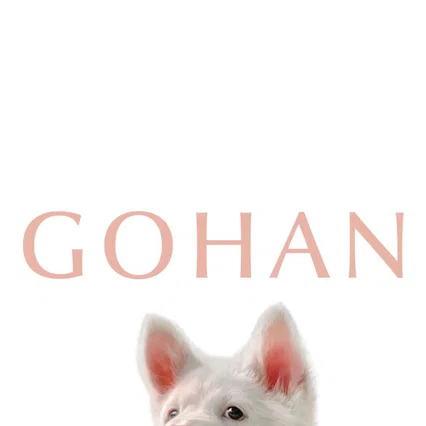 Miniature photo du film : Gohan