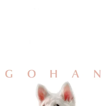 Miniature photo du film : Gohan