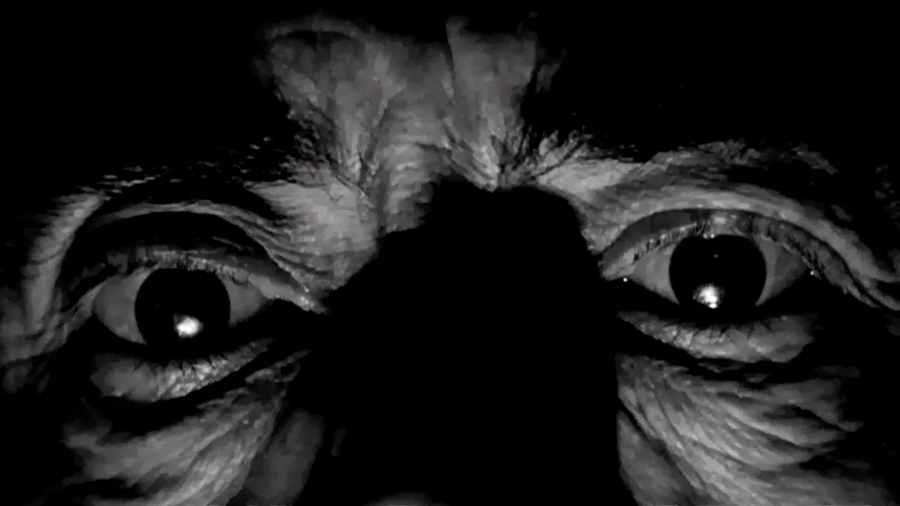 Photo 5 du film : Hurler de peur