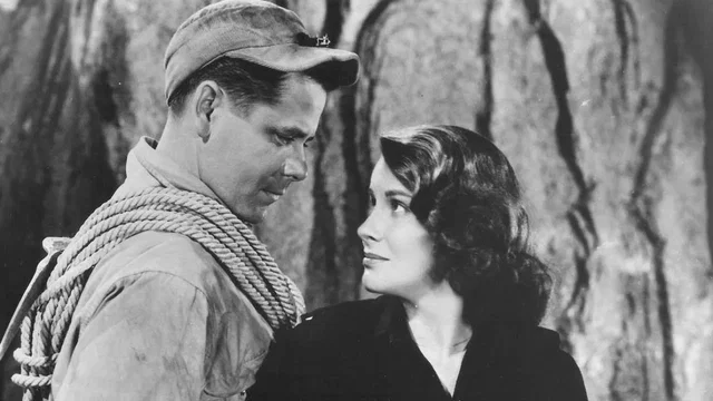 Photo 2 du film : La tour blanche