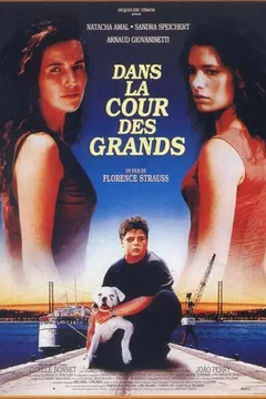 Affiche du film Dans la cour des grands