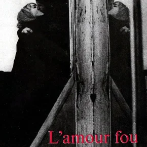 Photo du film : L' Amour fou
