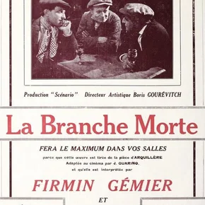 Photo du film : La branche morte