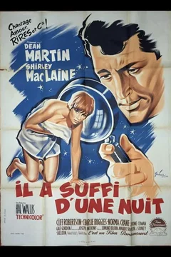 Affiche du film Il a suffi d'une nuit