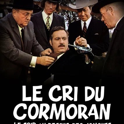 Miniature photo du film : Le Cri du cormoran le soir au-dessus des jonques