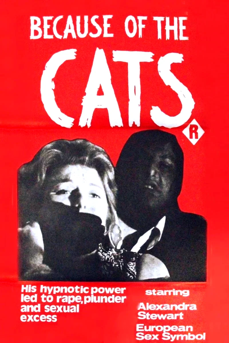 Affiche du film : Because of the Cats