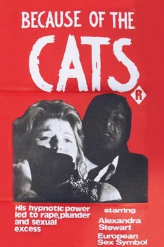 Affiche du film Because of the Cats