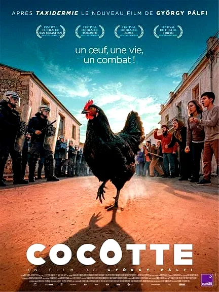 Affiche du film : Cocotte