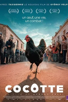 Affiche du film Cocotte