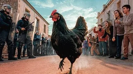 Affiche du film : Cocotte