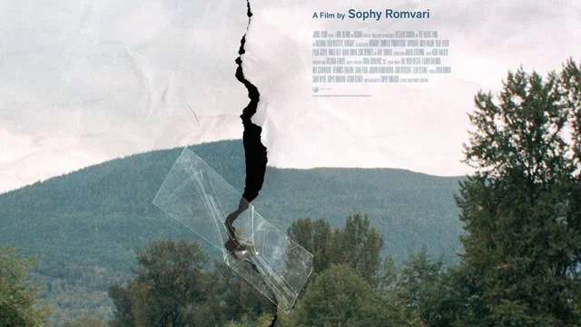 Affiche du film : Blue Heron