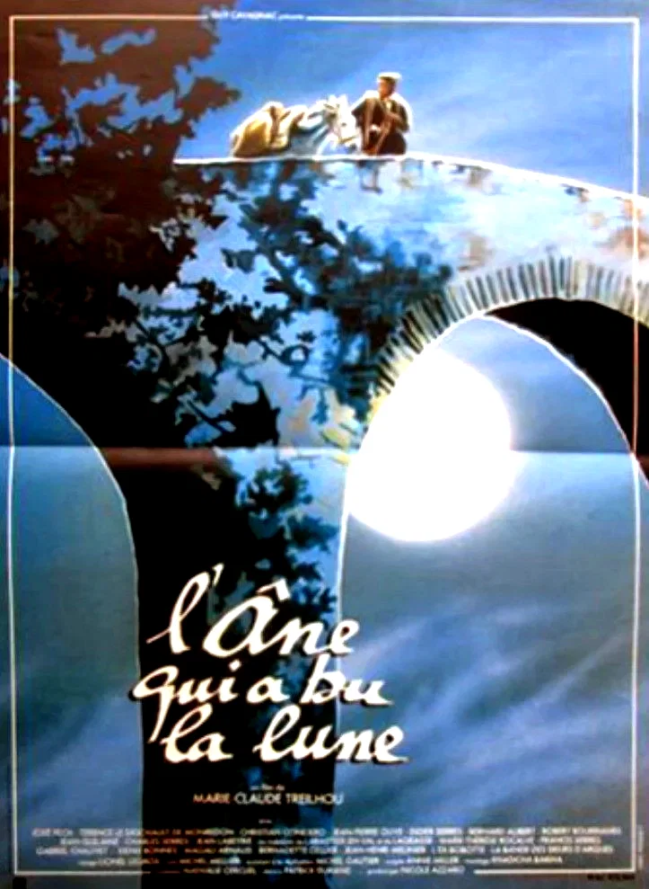 Affiche du film : L'ane qui a bu la lune