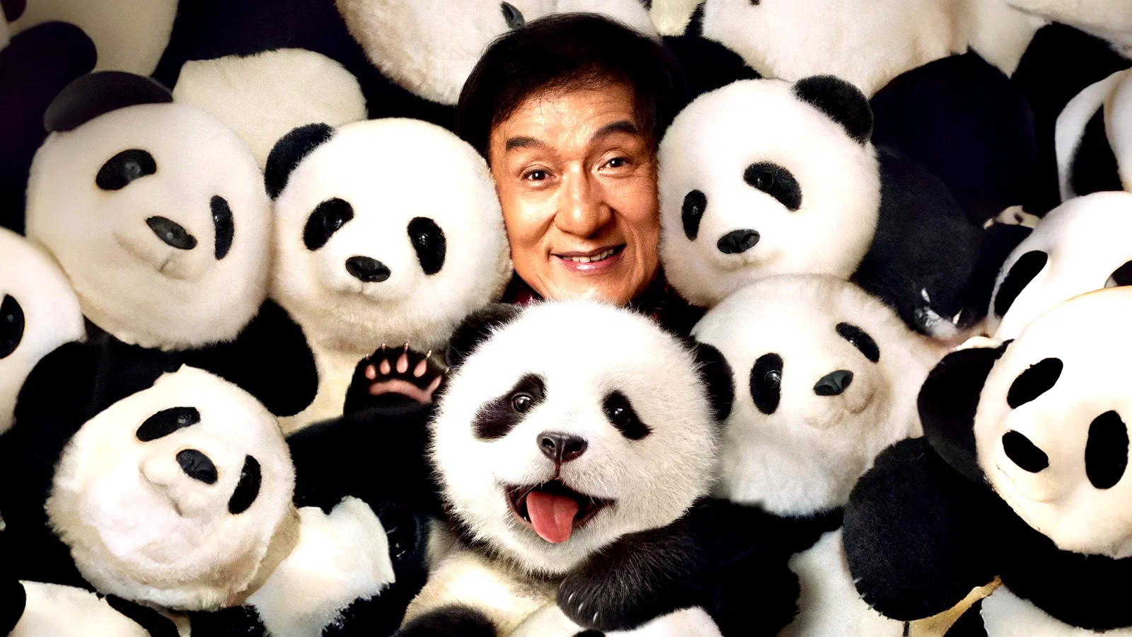 Photo 2 du film : Panda Plan