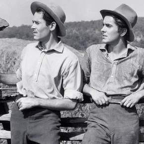Photo du film : Le brigand bien-aimé