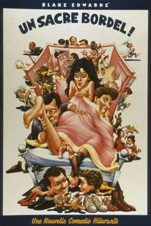Affiche du film : Un sacre bordel