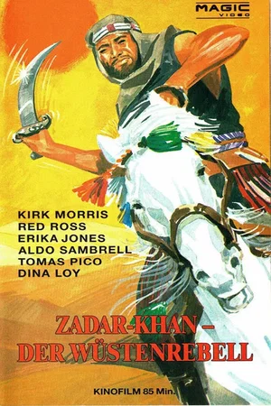 Affiche du film : Duel dans le desert
