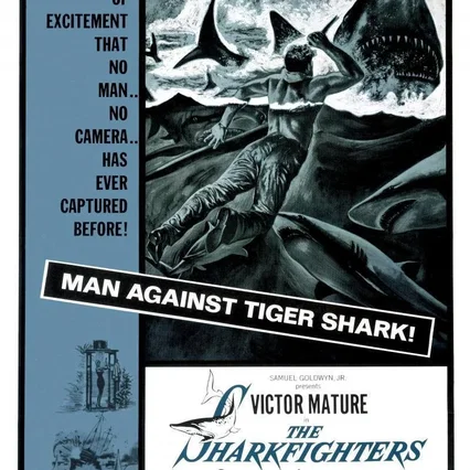 Miniature photo du film : Operation requins