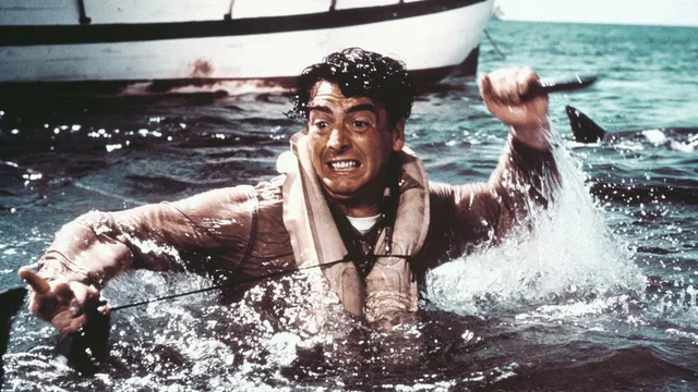 Photo 2 du film : Operation requins