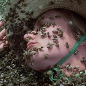 Photo du film : L'Inévitable Catastrophe