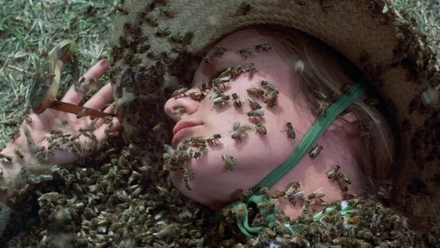 Photo du film : L'Inévitable Catastrophe