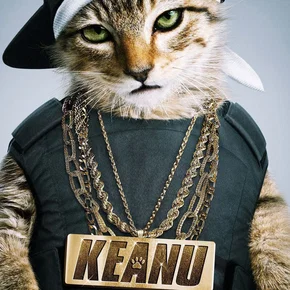 Photo du film : Keanu