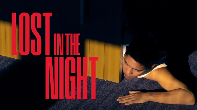 Photo 1 du film : Lost In The Night