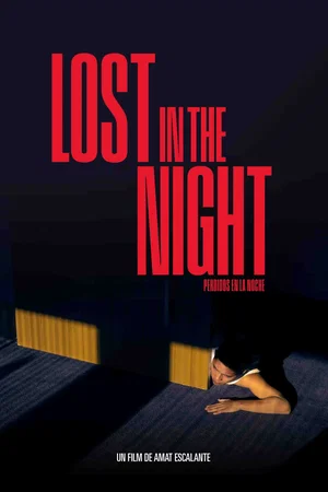 Affiche du film : Lost In The Night