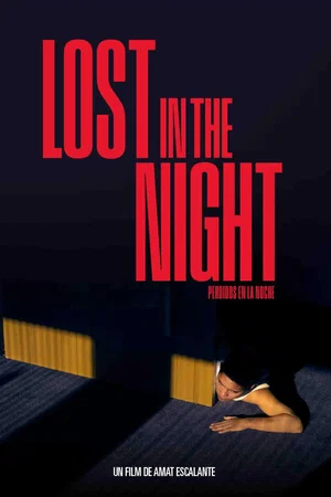 Photo 3 du film : Lost In The Night