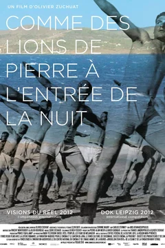 Affiche du film = Comme des lions de pierre à l'entrée de la nuit