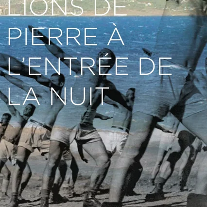 Miniature photo du film : Comme des lions de pierre à l'entrée de la nuit