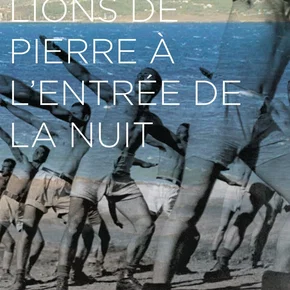 Photo du film : Comme des lions de pierre à l'entrée de la nuit