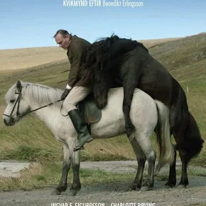 Photo du film : Des chevaux et des hommes