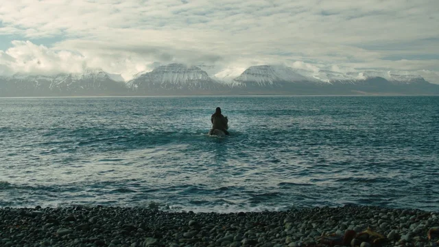 Photo 2 du film : Des chevaux et des hommes