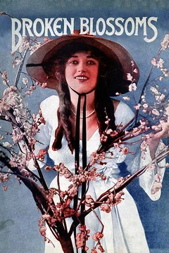 Affiche du film Le lys brisé