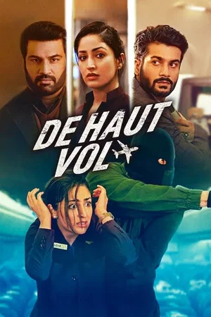 Affiche du film : De haut vol