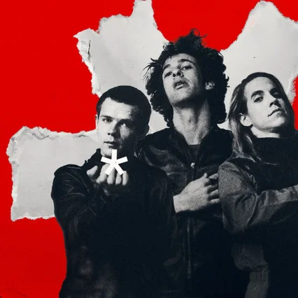 Miniature photo du film : The Rise of the Red Hot Chili Peppers: Our Brother, Hillel