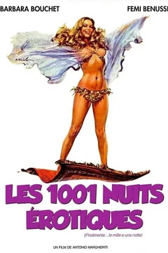 Affiche du film Les mille et une nuits erotiques