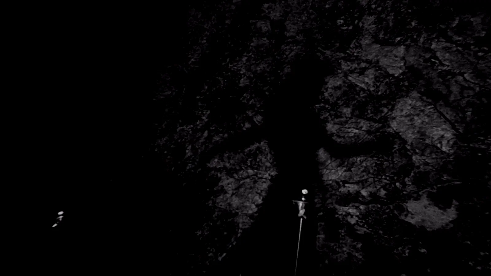 Photo 3 du film : Maree nocturne