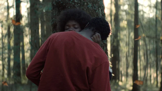 Photo 3 du film : The Garden We Dreamed