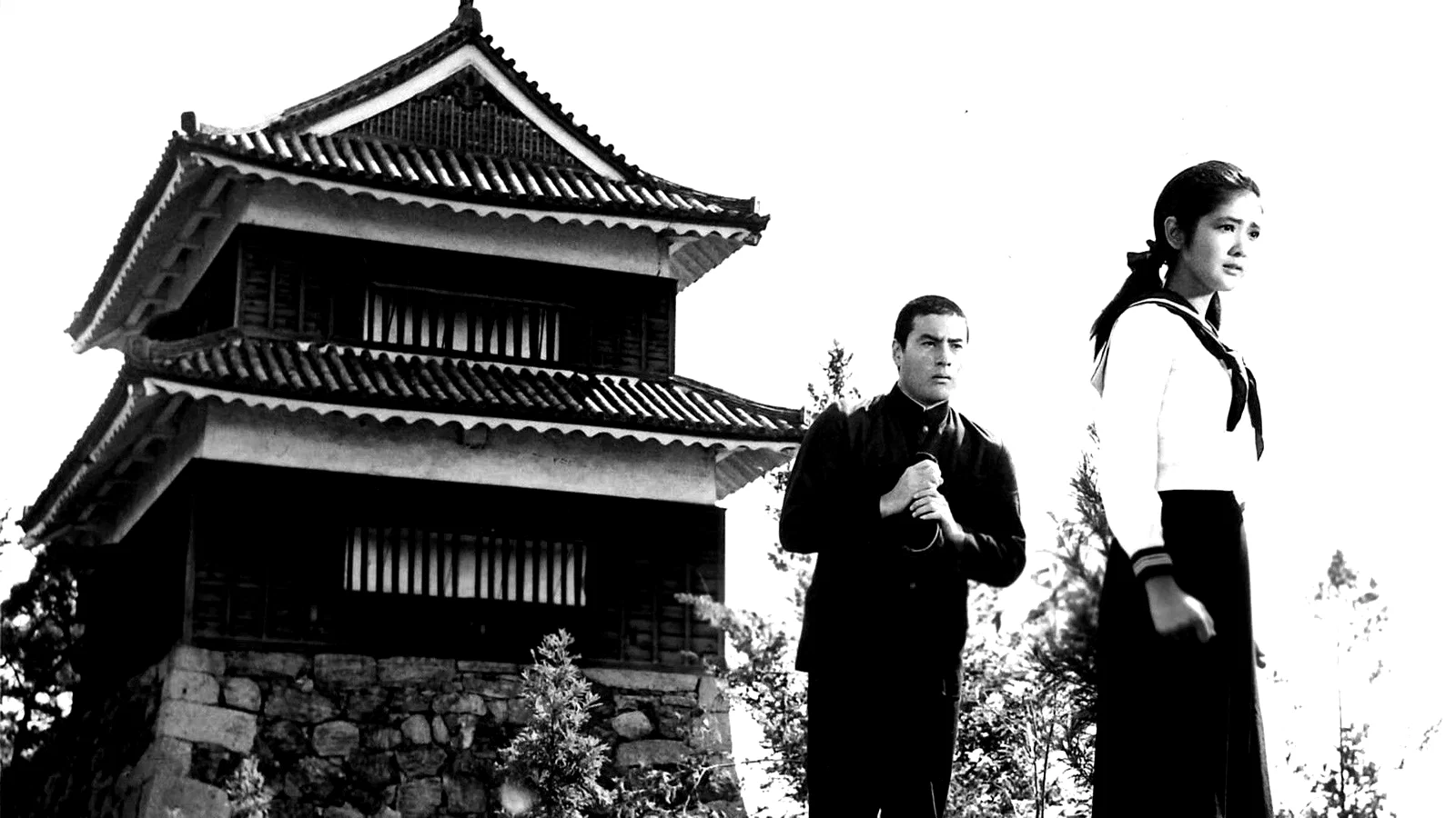 Photo 4 du film : Elégie de la bagarre