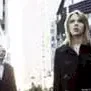 Photo du film : Lost in Translation