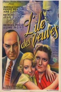Affiche du film L'ile des veuves